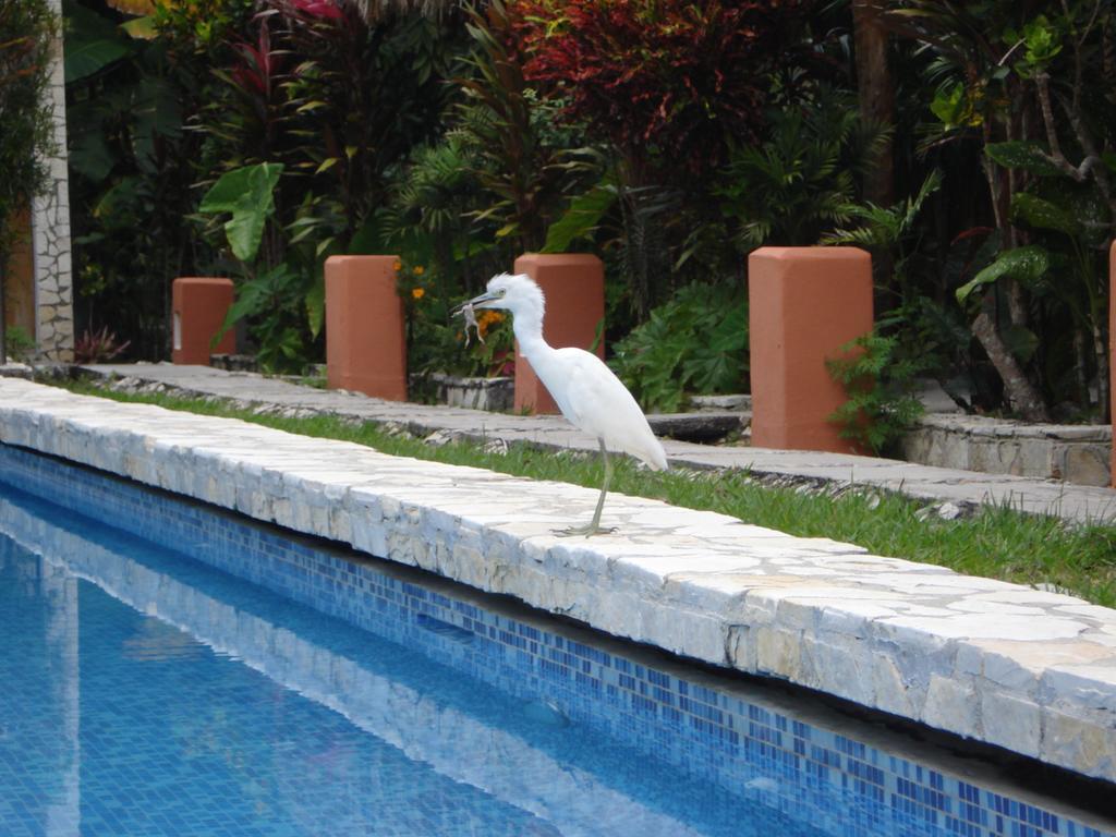 Hotel Jaguar Inn Tikal Exterior foto